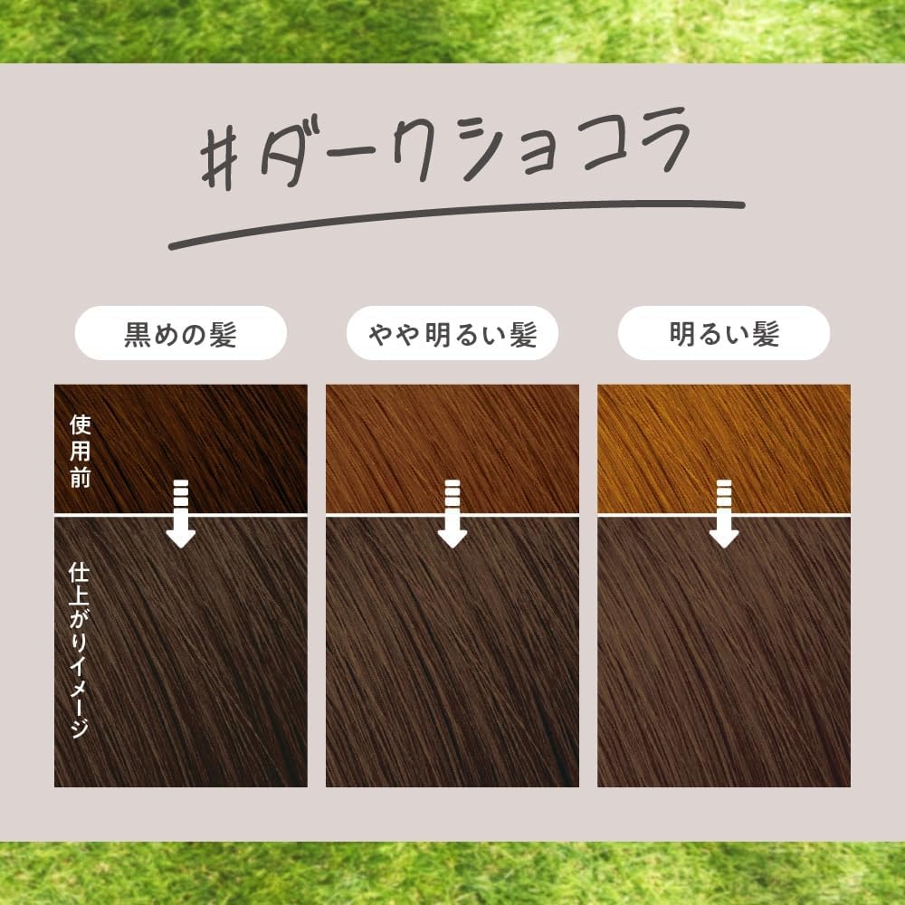 【日本直效郵件】日本 KAO花王 Liese 泡沫染髮劑 黑巧克力