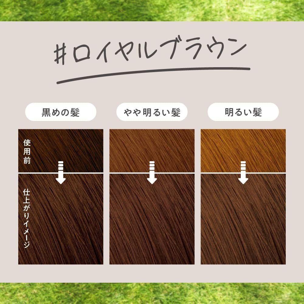 【日本直效郵件】日本 KAO花王 Liese 泡沫染髮劑 皇家棕