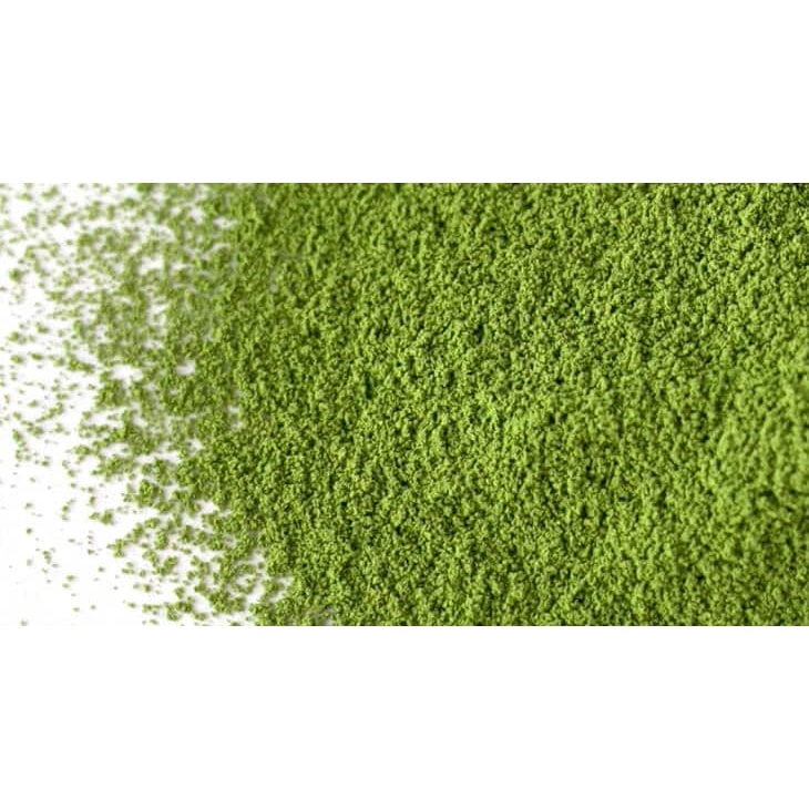 【日本直郵】Saijoen 西條園 抹茶粉 寶の樹 20g
