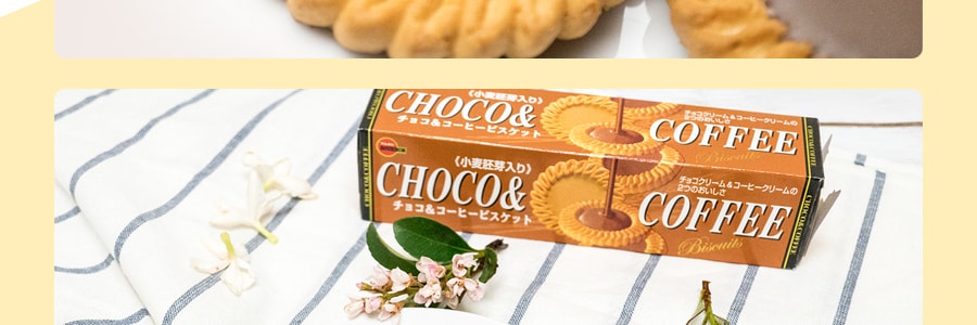 日本BOURBON波路梦 小麦胚芽咖啡巧克力饼干 103g