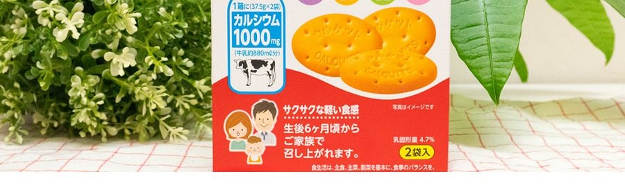 日本MR.ITO伊藤先生 嬰兒高鈣維生素牛奶磨牙餅乾寶寶零食75g 適用月齡:6個月以上