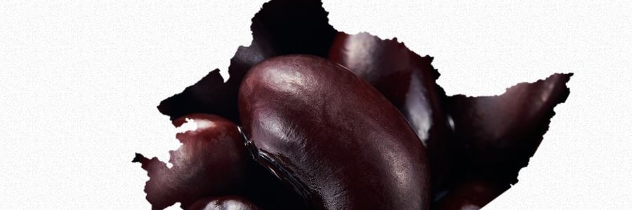 栗源 糯香黑豆 开袋即食 68g