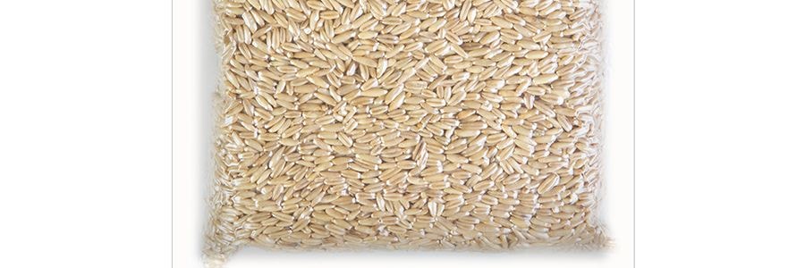 家鄉風味 有機燕麥 454g USDA認證