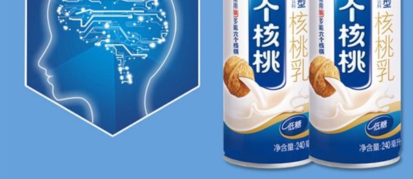 養元牌 六個核桃 精品植物蛋白飲料 240ml