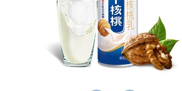 養元牌 六個核桃 精品植物蛋白飲料 240ml