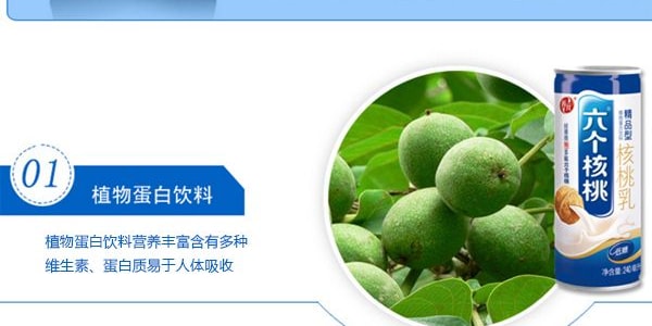 養元牌 六個核桃 精品植物蛋白飲料 240ml