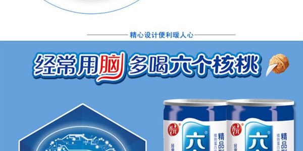 養元牌 六個核桃 精品植物蛋白飲料 240ml
