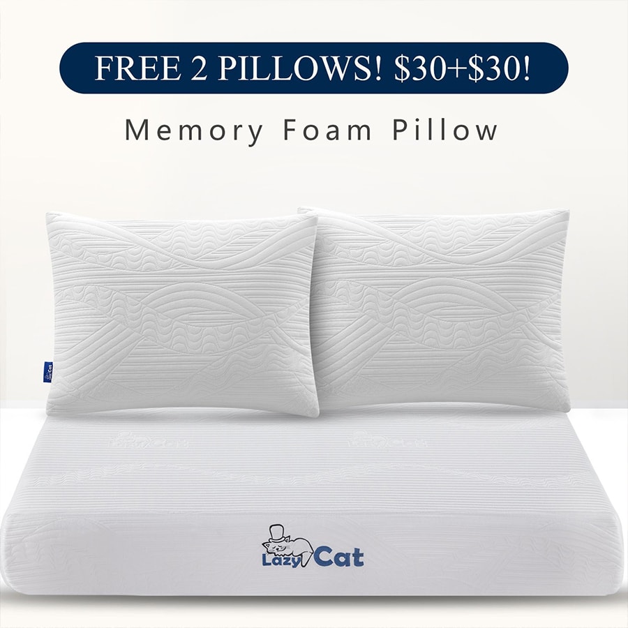 Memory Foam Mattress with 2 Free Pillows 10 inch Queen Mattress