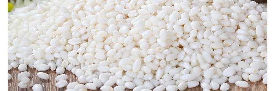 韓國HAITAI海太 特級糯米 910g【端午節粽子必備】