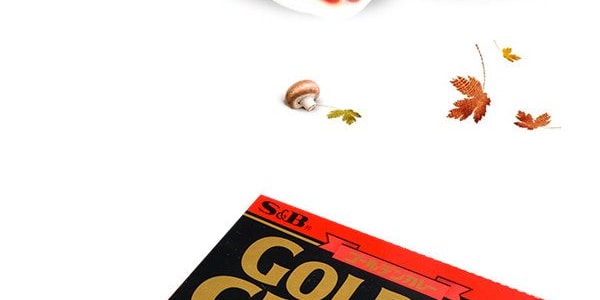 日本S&B 金牌微波即食蔬菜咖哩包 超辣 230g