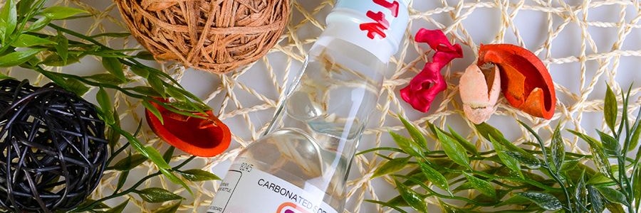 日本HATAKOSEN哈達 RAMUNE 荔枝味彈珠汽水 200ml