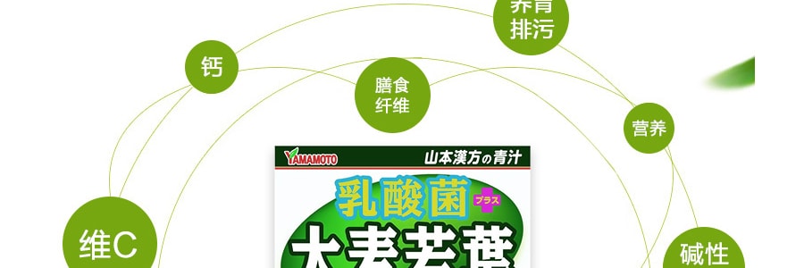 日本YAMAMOTO山本漢方製藥 乳酸菌大麥若葉青汁粉末 4g 15包入