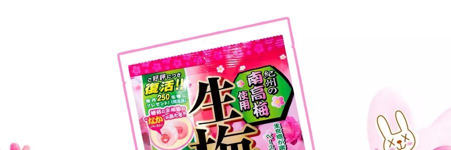日本RIBON 紀州南高梅生梅糖 110g