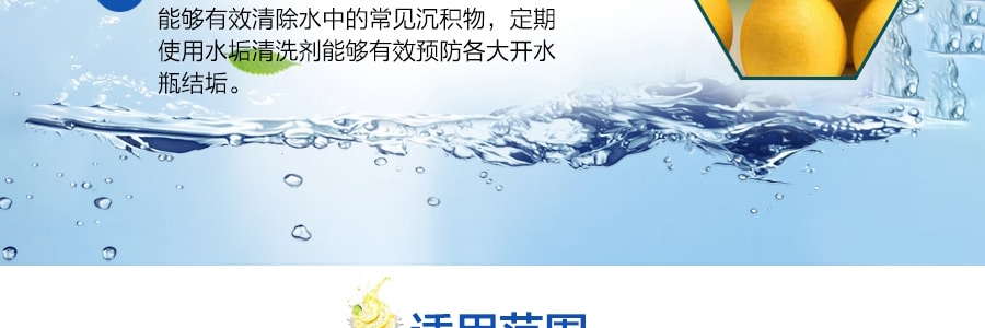 日本ZOJIRUSHI像印 電熱水瓶專用清潔劑 清潔水垢 4包入 120g