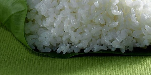 日本HITOMEBORE 高級日式短米 2kg