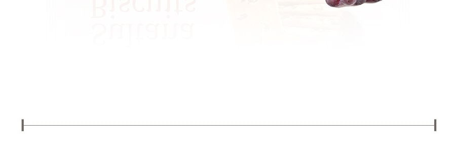 新加坡KHONG GUAN康元 提子餅乾 200g