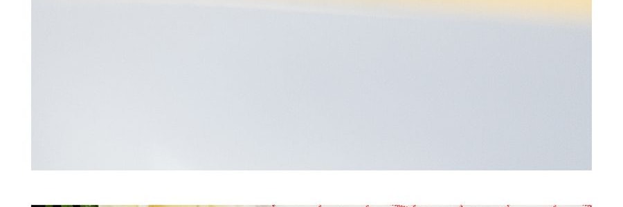 日本KOJI蔻吉 DOLLY WINK 益若翼假睫毛 上睫毛 #24NATURAL BABY 2對入