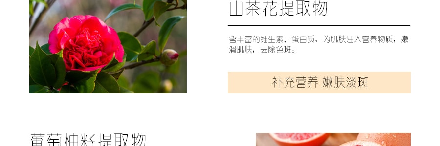 日本CREER BEAUTE凡爾賽玫瑰 潤透亮彈性保濕面膜 #蜜桃香 單片入