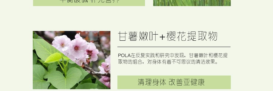 日本POLA 櫻花蜜大麥若葉青汁酵素 60包入 270g