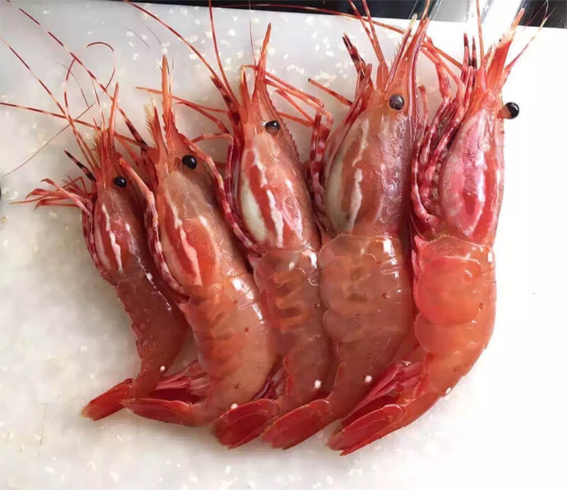 [Local Service] CATCH OF THE DAY Fresh Spot Prawns for $25(per pound)