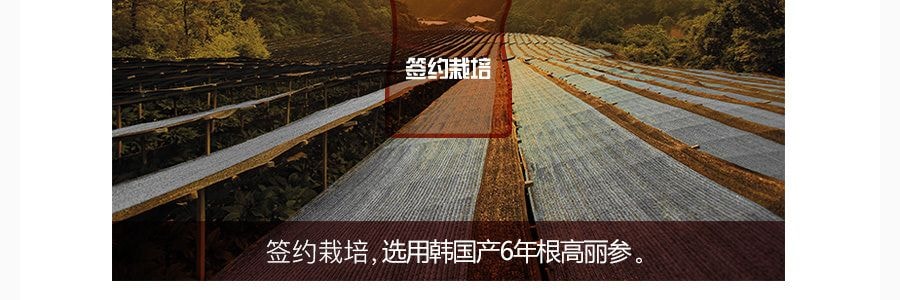 【贈品】韓國正官莊 兒童高麗參紅參液無糖無添加蘋果味果汁飲料 10包入 1L
