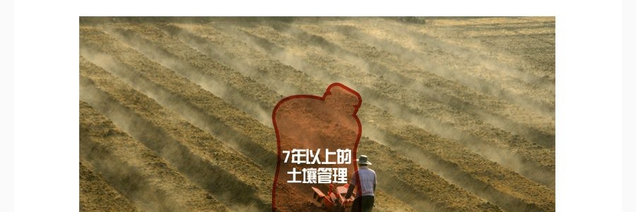 【贈品】韓國正官莊 兒童高麗參紅參液無糖無添加蘋果味果汁飲料 10包入 1L