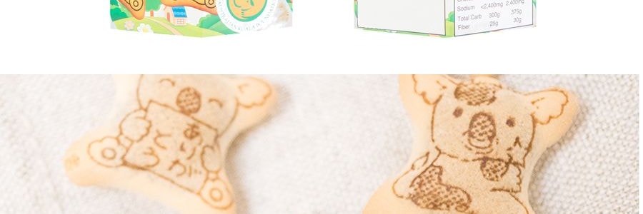 日本LOTTE樂天 無尾熊系列餅乾 巧克力口味 41g