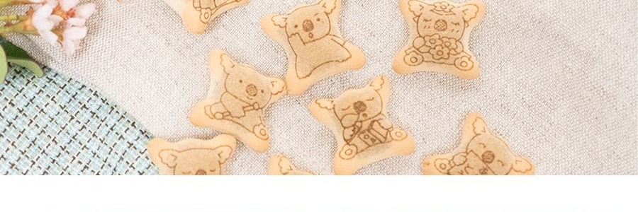 日本LOTTE樂天 無尾熊系列餅乾 巧克力口味 41g