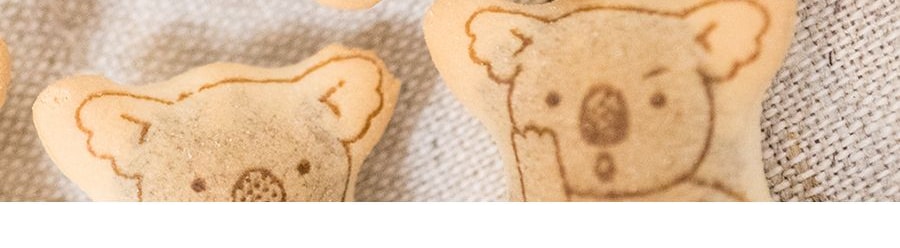 日本LOTTE樂天 無尾熊系列餅乾 巧克力口味 41g