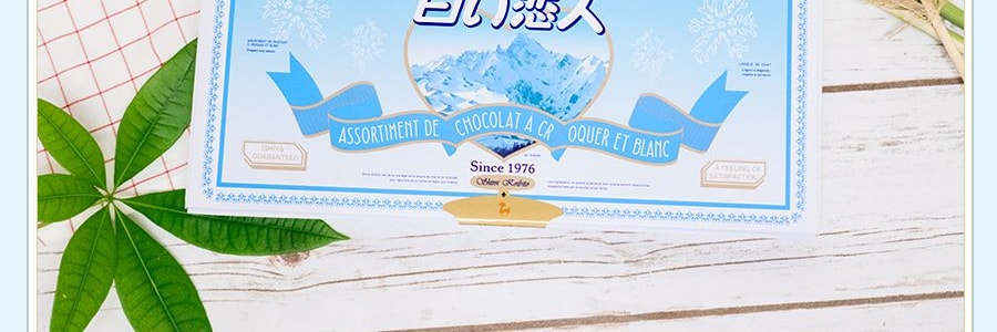 Boîte cadeau de biscuits Shiroi Koibito Chocolat blanc et au lait, 24 pièces