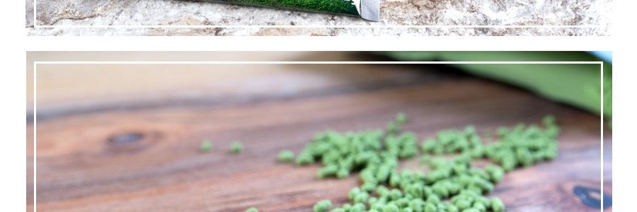 日本ITO EN伊藤園 抹茶沖飲 甜味 10條入 120g