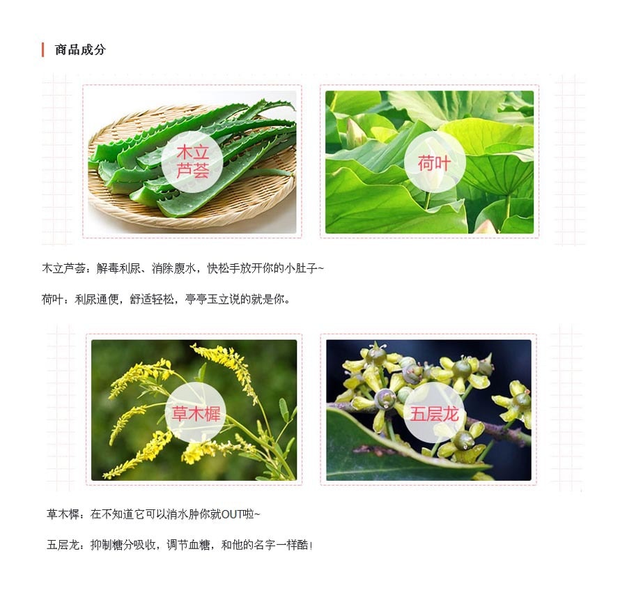 [日本直邮] GRAPHICO 让一切消失/爱吃的秘密 白芸豆酵素 120粒