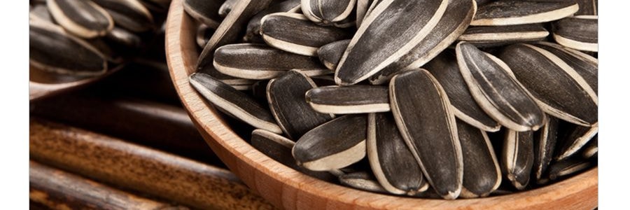 童年記 長白山原味瓜子 500g