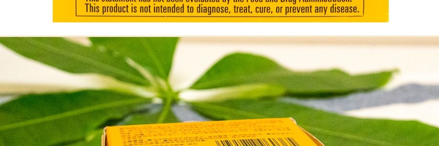 日本喇叭牌 正露丸糖衣A 36粒入 緩解腸胃不適