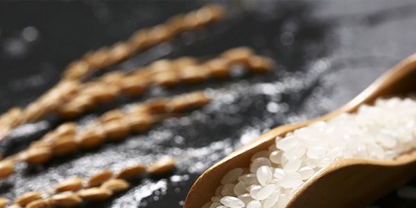 日本KOSHIHIKARI 高級短穀米 米 2kg 【煮飯熬粥】