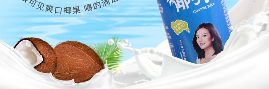 欢乐家 椰子汁 椰子汁植物蛋白饮料 6罐装 245ml