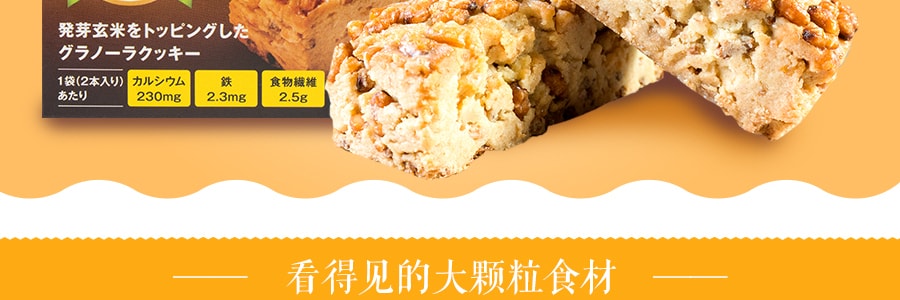 日本HEALTHY CLUB 全粒粉能量营养机能代餐饼干 玄米味 2包入 64.8g