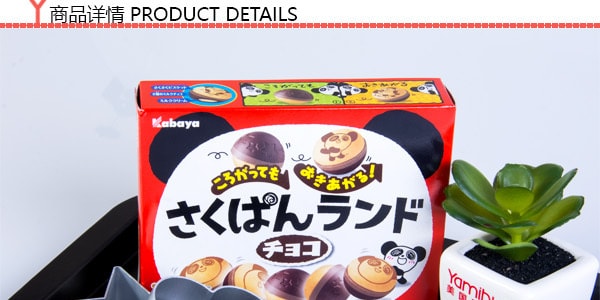 日本KABAYA 熊貓圓形巧克力餅乾 40g