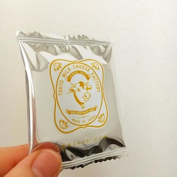DHL直发【日本直邮】东京牛奶芝士工厂 蜂蜜古冈左拉芝士饼干 10枚装