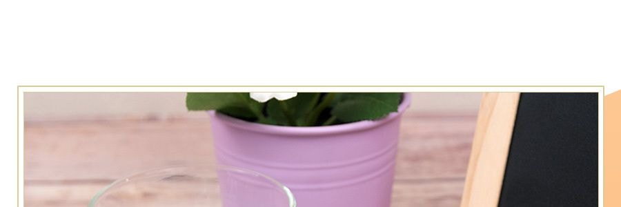 印尼 WONG COCO JUBES 椰果粒 芒果口味 360g