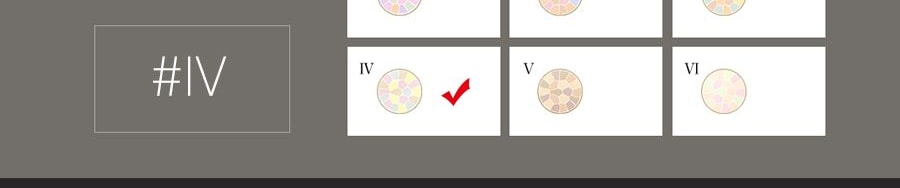 【全美超低價不疊折扣碼】日本ELEGANCE 極致歡顏蜜粉餅 #IV4號 珠光瓷白 27g E大餅家庭裝 磨皮定妝 柔焦透亮 COSME大賞受賞