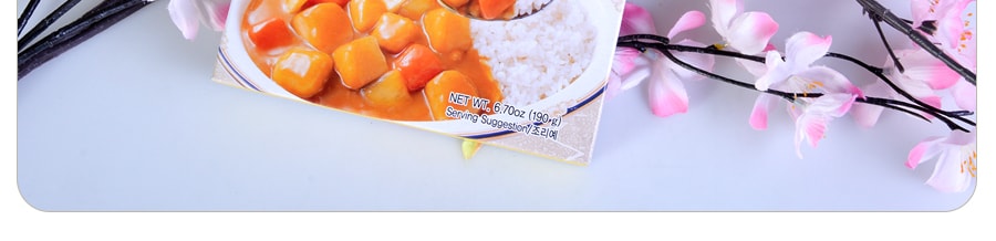 韓國OTTOGI不倒翁 咖哩醬 原味 3分鐘即食 190g