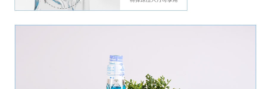 日本SHIRAKIKU赞岐屋 弹珠汽水 蓝莓味 200ml
