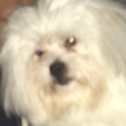 YamiUGC画像