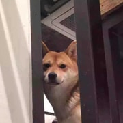 亚米UGC圖片