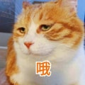 Yami UGC 이미지